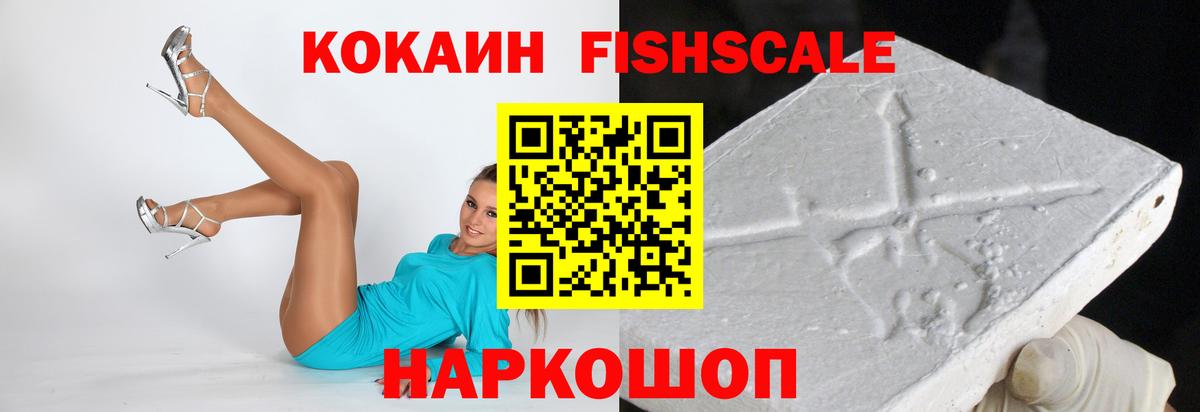 как найти   COCAIN Fish Scale  Славгород  Вход с VPN  Cocaine Эквадор 