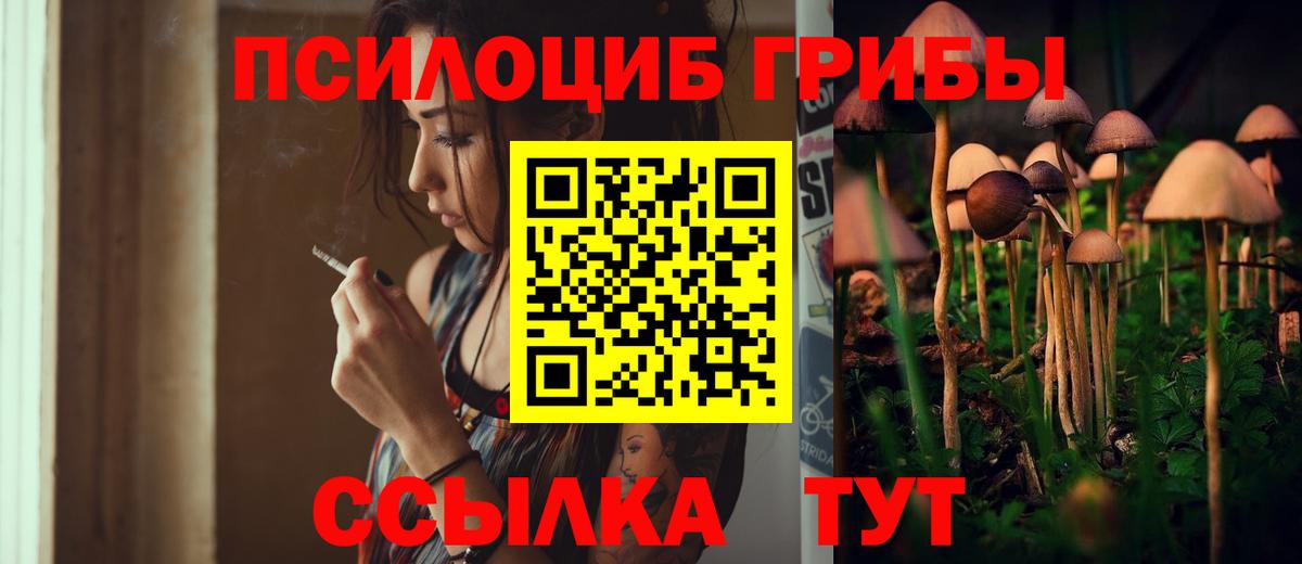 Славгород  Псилоцибиновые грибы Psilocybe  Вход с VPN 